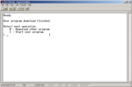 The OKI rom loader prompting to start a program in hyperterm